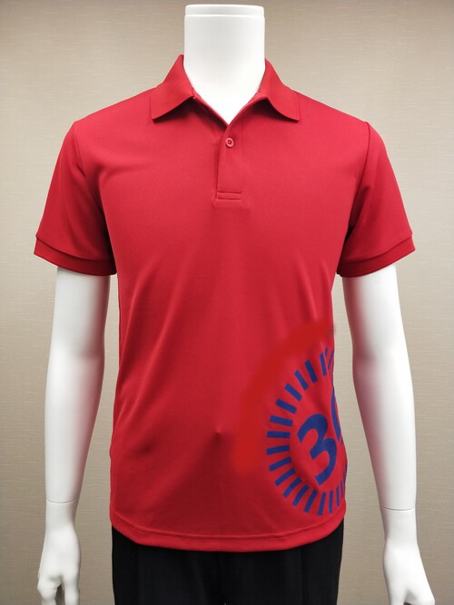 POLO-13 