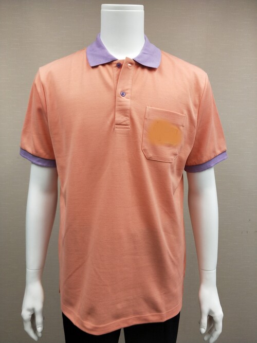 POLO-15 