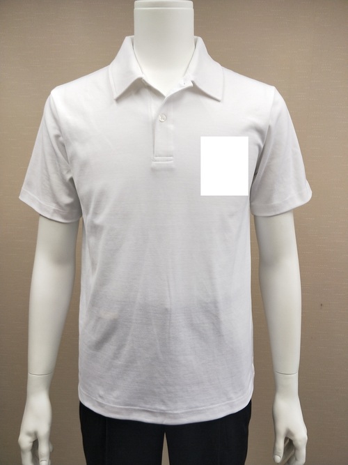 POLO-10 