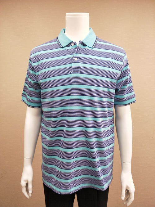 POLO-11 