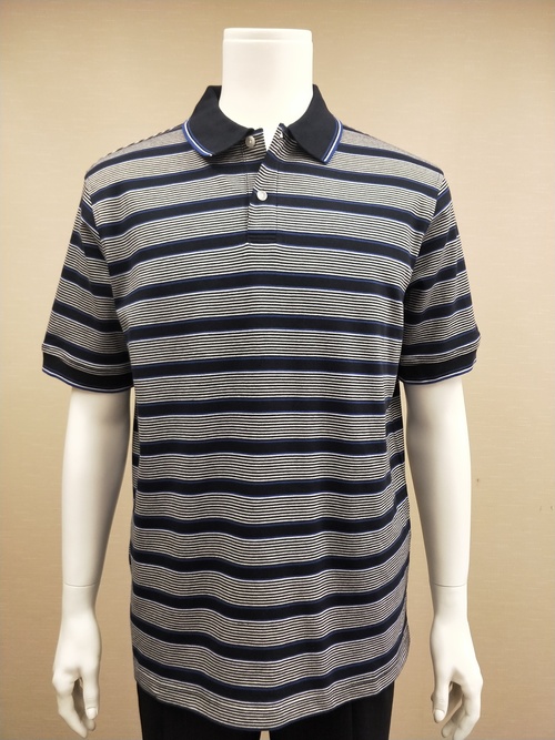 POLO-12 