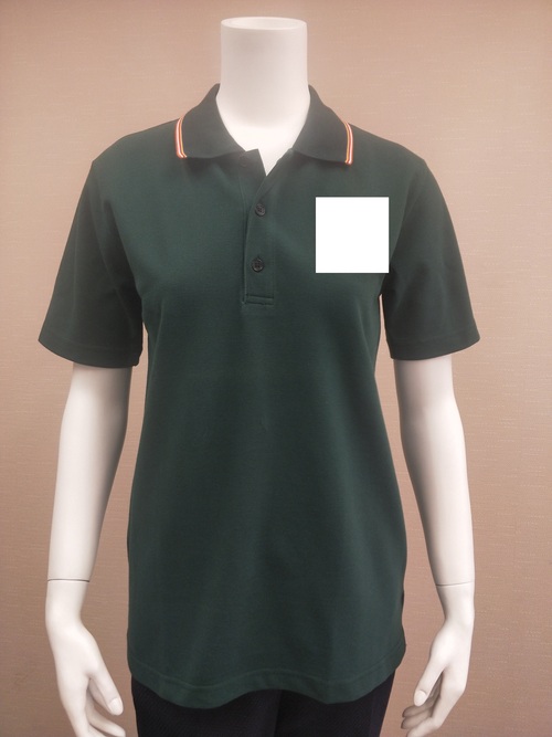 POLO-2 