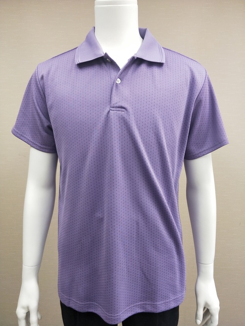 POLO-6 